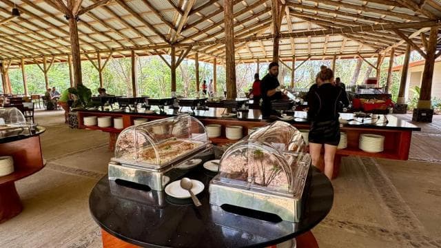 Combo Tour: Lunch + Río Negro hotsprings