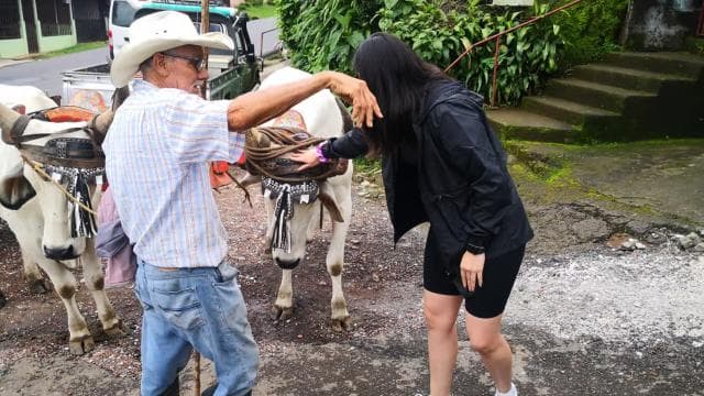 San José: Guided Volcano, Waterfall & Coffee Farm Day Trip