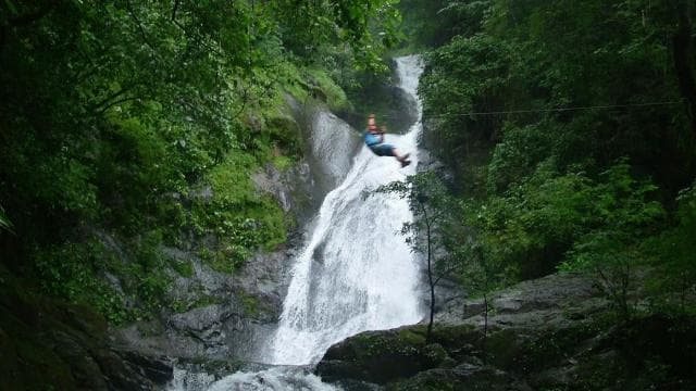 Puntarenas: Zip Line Canopy Tour Over 11 Waterfalls