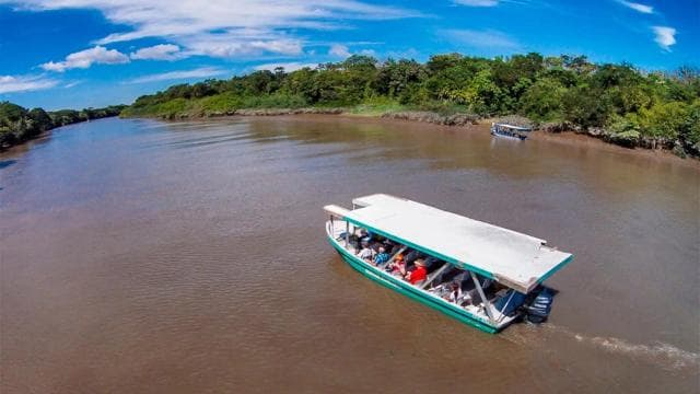Palo Verde National Park: Wildlife Boat Tour