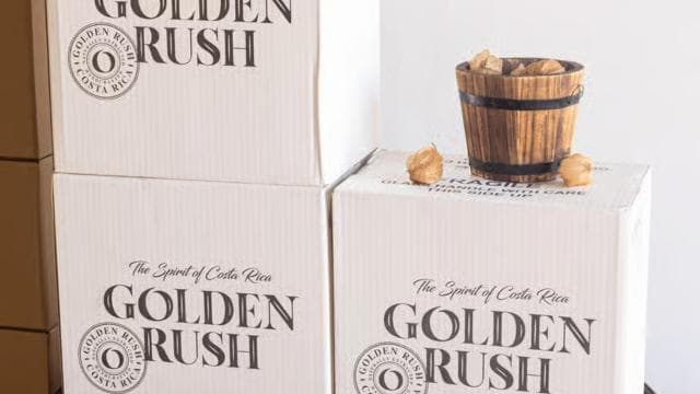 Wine Tour and Golden Rush