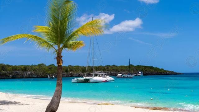 Punta Cana: Catalina Island Catamaran, Lunch and Snorkel