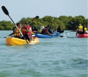 From Samana: Los Haitises Hike, Boat Trip, and Kayaking