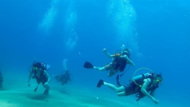 PUERTO RICO: Private Scuba Dive for Beginners!