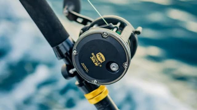 Costa Rica: Sport Fishing Half Day Private Guided Experience