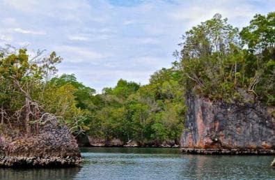 Adventure from Miches: Los Haitises, Caño Hondo, and Yanigua