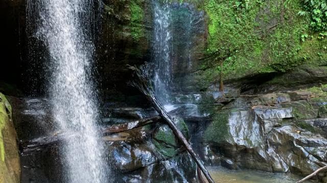 Puerto Viejo Talamanca: Quad Tour with 2 Waterfalls