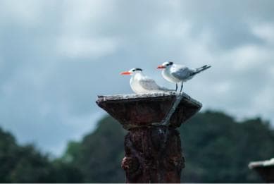 Sabana de la Mar: Los Haitises Guided Hike and Kayaking