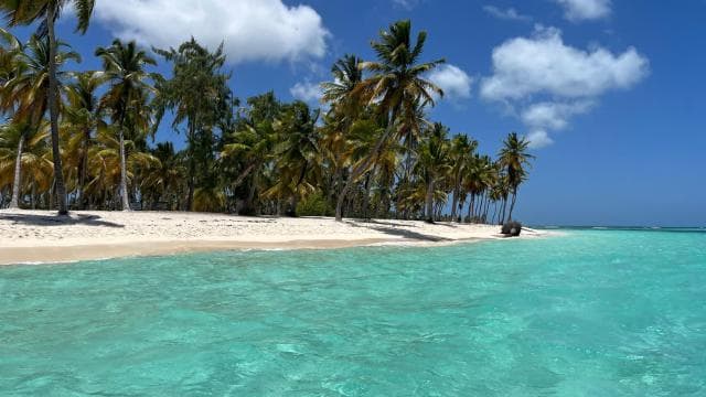 Saona Island Day for Marella Discovery (La Romana Port)