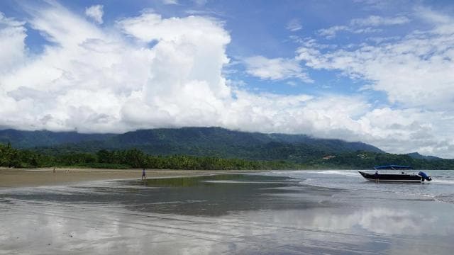 Uvita: Marino Ballena National Park Whale-Watching Tour
