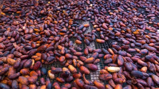 La Fortuna: Chocolate-Making Experience with Tastings