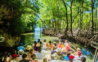 Samana: Visit Samana, Los Haitises Park, and Cayo Levantado Island