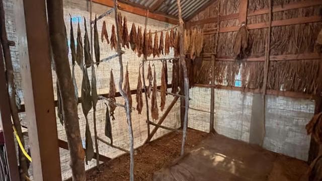 Puerto Rico: One day road trip around the island private