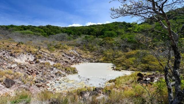 Rincón de la Vieja National Park: Las Pailas trail