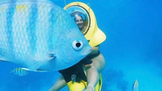 Punta Cana Scuba Doo: Discover Marine Life In a Fun Way
