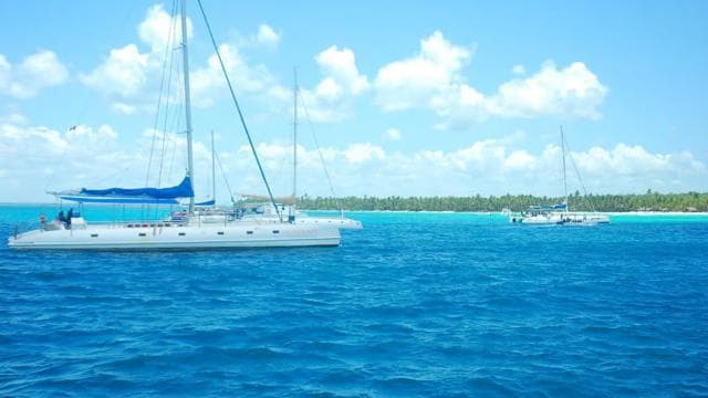 Boca Chica: Saona Island Full-Day Tour with Catamaran Ride