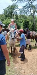 Punta Cana: Samaná Cayo Levantado & El Limón Waterfall Tour
