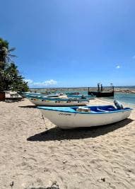 Altos de Chavón & La Romana Cultural Tour with Local Flavors