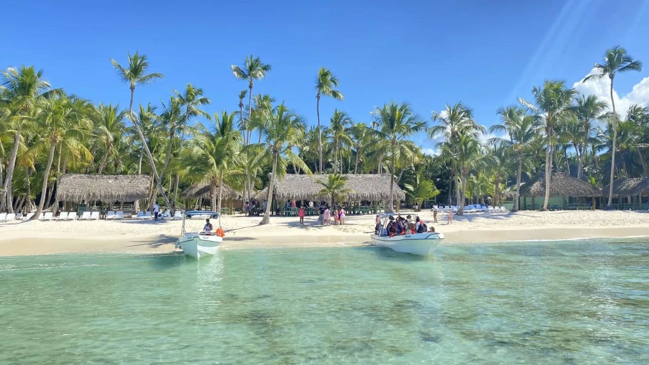 Santo Domingo: Saona Island full-day tour all-inclusive