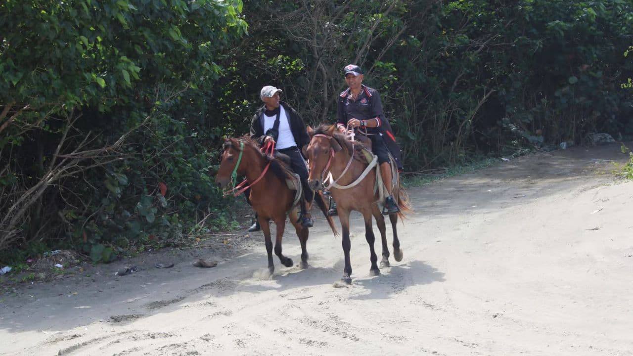 Private Transfer Punta Cana Airport to Bahia P. Bouganville