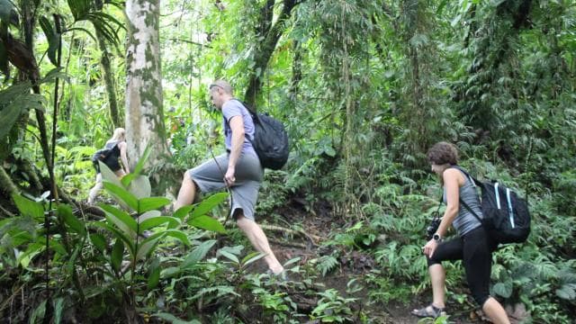 La Fortuna: Arenal Volcano, Lunch, & Hotsprings Morning Tour