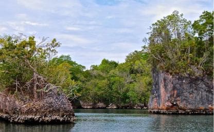 2in1: Los Haitises National Park + Yanigua Waterfall-SPA