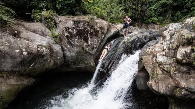 From San Juan: El Yunque Forest Hike & Ziplining Combo Tour