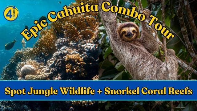 Epic Cahuita Combo Tour: Snorkel Reefs & Hike with Wildlife