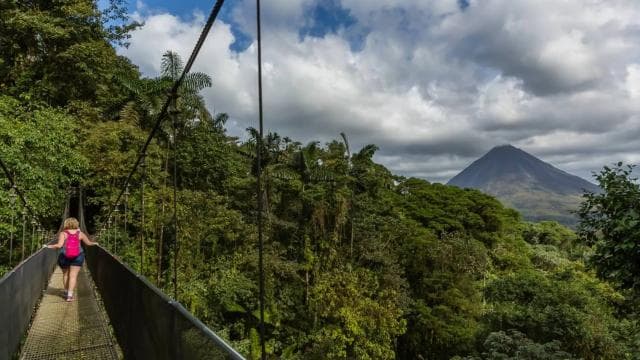 From La Fortuna: Hanging Bridges & Arenal Volcano with Lunch