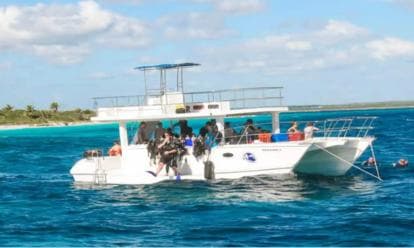 Private: Catalina Island Diving Tour with Lunch