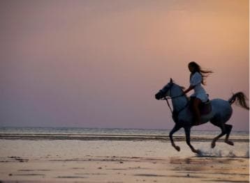 Makadi Bay: Horse Riding in Desert & Sea w Guide + Transfers