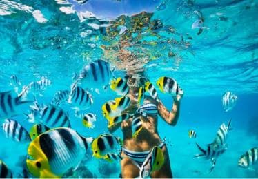 Punta Cana: Catalina Island Snorkeling Trip with Lunch