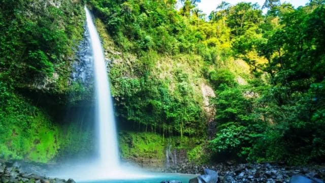 Jaco: Arenal Volcano, Fortuna Waterfall, & Hot Springs Tour
