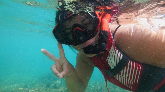 San Juan: Snorkeling with Turtles Adventure and Free Videos