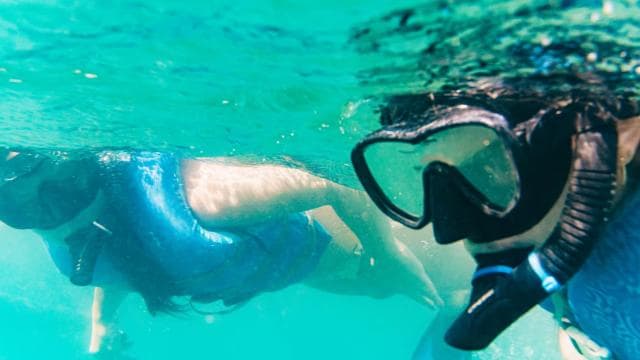 San Juan: Beginner Snorkeling Tour with Turtles and Videos