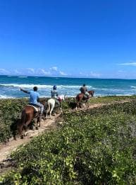 Punta Cana: Guided Horseback Tour of Beaches and Fields