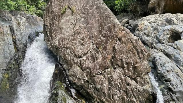 Self-Drive Half-Day Waterslide Yunque Tour