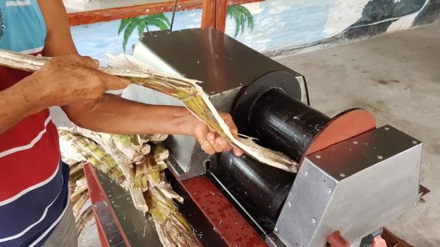 Puerto Limon: City Highlights and Cahuita National Park Tour