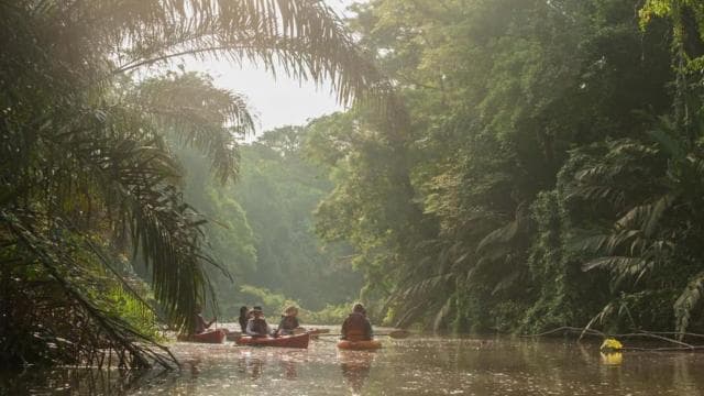 Guided Kayak Tour in Tortuguero National Park ***EXCITING**