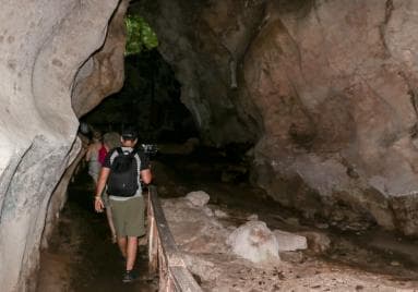 Punta Cana to Los Haitises, Caño Hondo & Montaña Redonda Day Trip – Adults $125, Kids $95