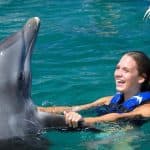 Punta Cana Dolphin Swim Adventure: 40-min Dolphin Experience