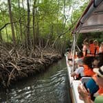 Los Haitises National Park: Boat and Walking Tour with Lunch