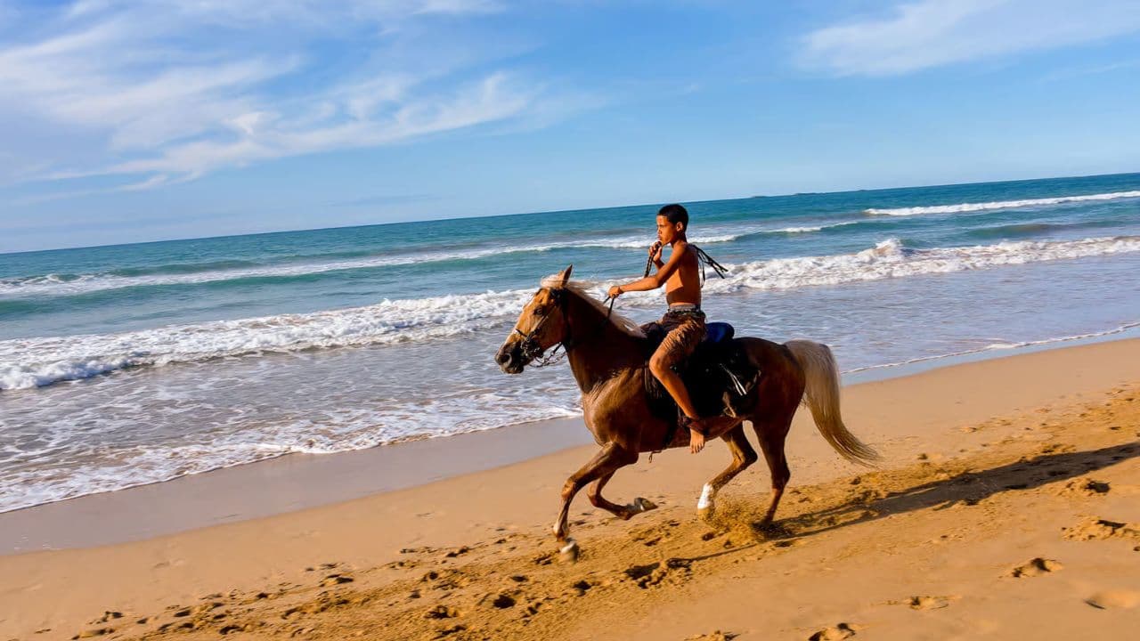 Puerto Plata: Horseback Riding on the Beach