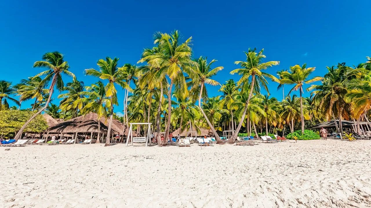 From Punta Cana: Isla Saona Full-Day Tour with Buffet Lunch