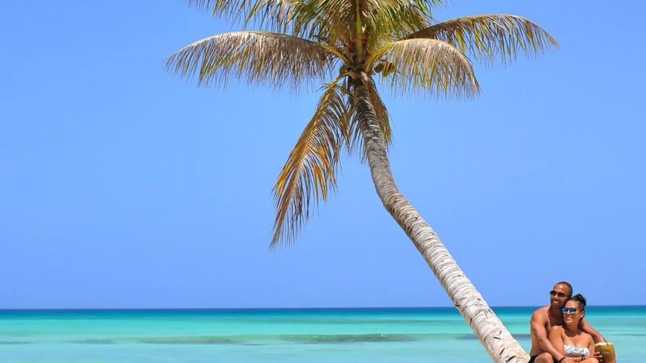 Santo Domingo: Saona Island Catamaran Tour with Lunch & Bar