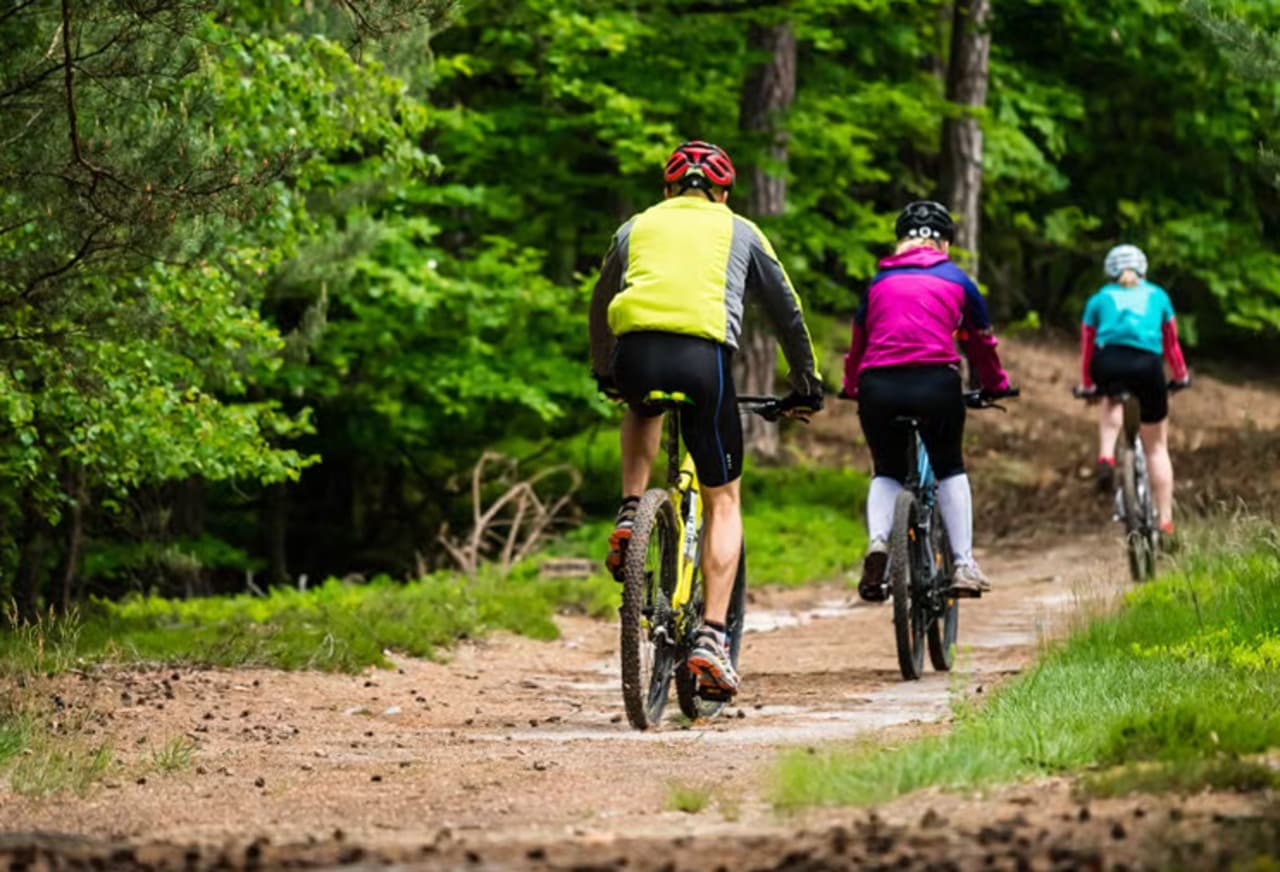 Havana Enchanted Forest Bike Tour