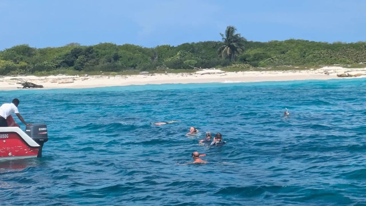 Full-Day at Catalina Island from Santo Domingo