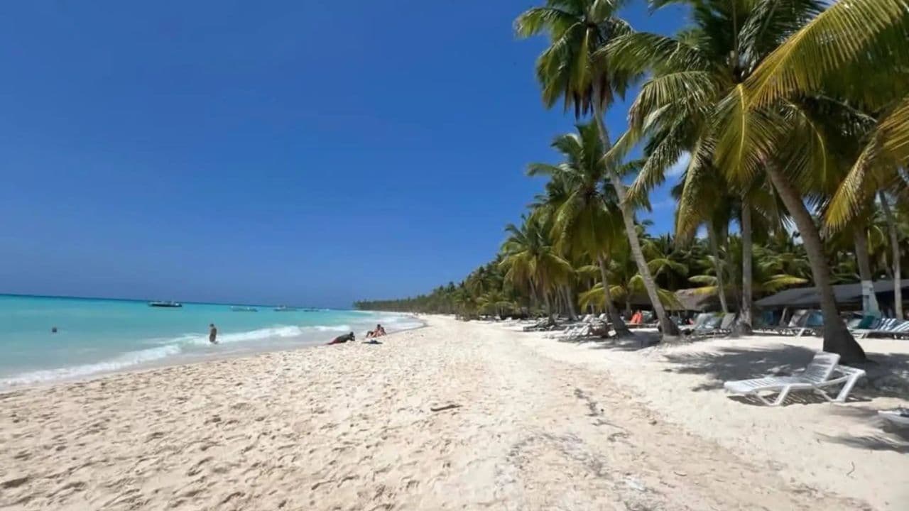 All-Inclusive Saona Island Day Trip from Punta Cana