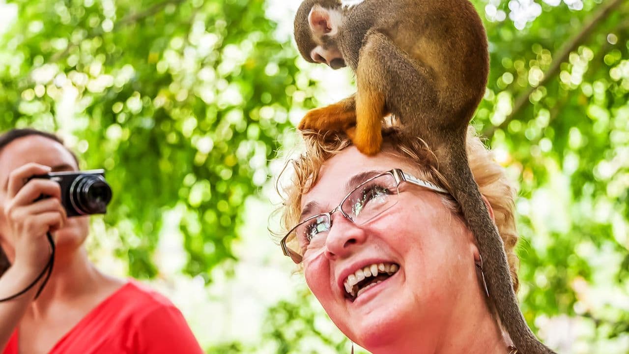 Punta Cana: Monkeyland and Plantation Tour