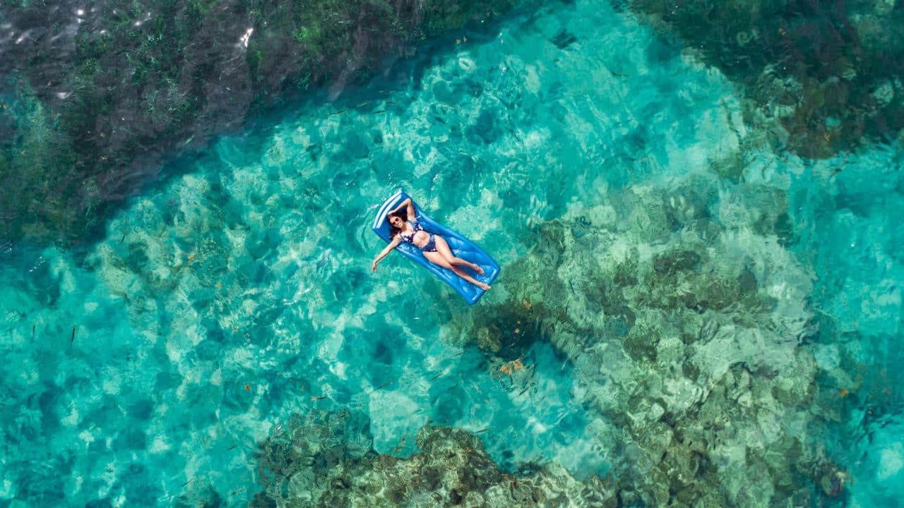 Punta Cana: Dolphin Experience in the Sea